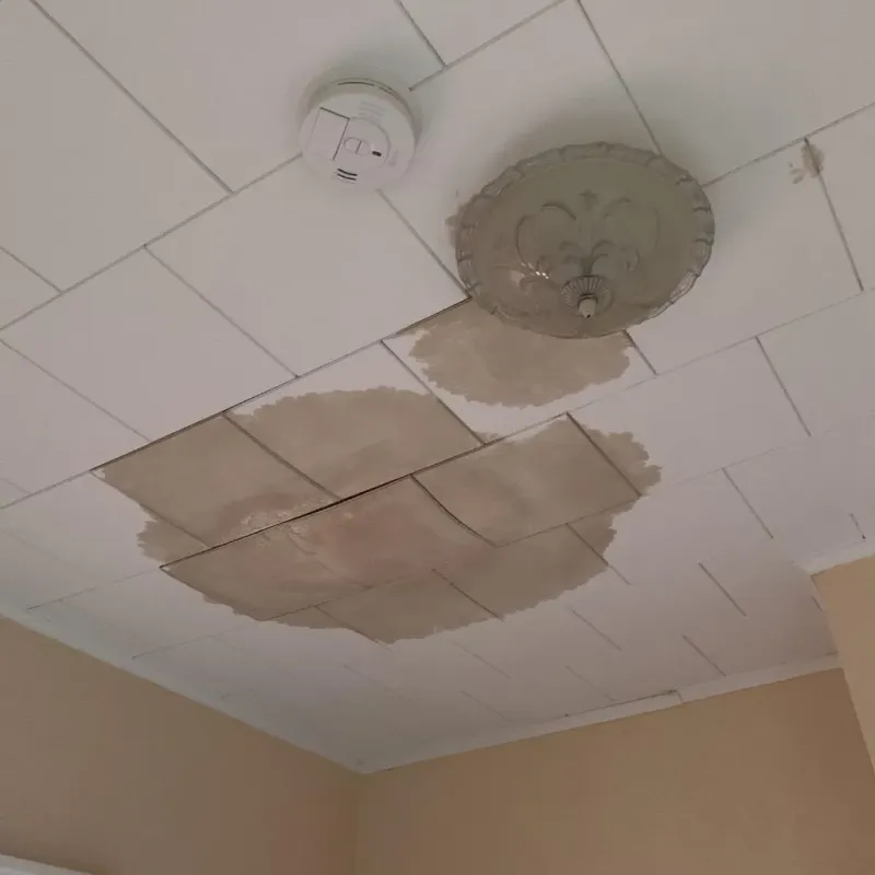 Ceiling Water Damage Repair in Green Tree, PA