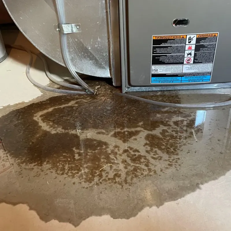 Pipe Burst and Leak Restoration in Green Tree, PA