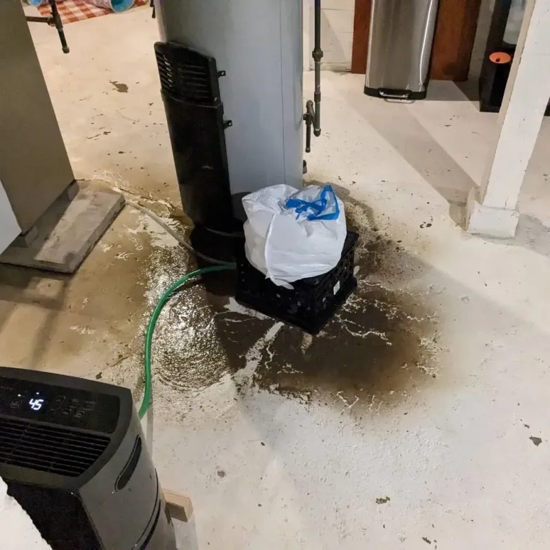 Sewage Backup Cleanup Service in Green Tree, PA
